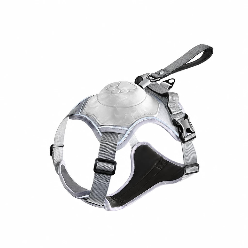 All-in-One Pet Vest Harness and Leash