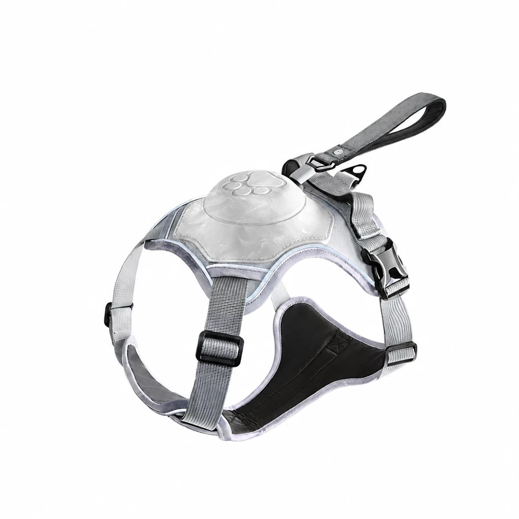 All-in-One Pet Vest Harness and Leash