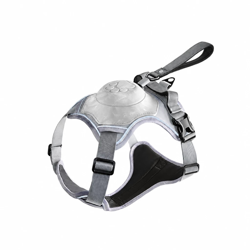All-in-One Pet Vest Harness and Leash