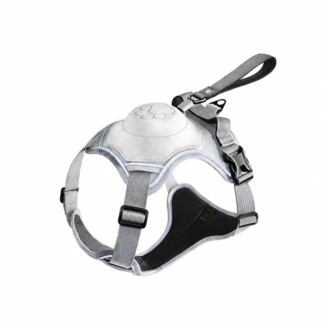 All-in-One Pet Vest Harness and Leash