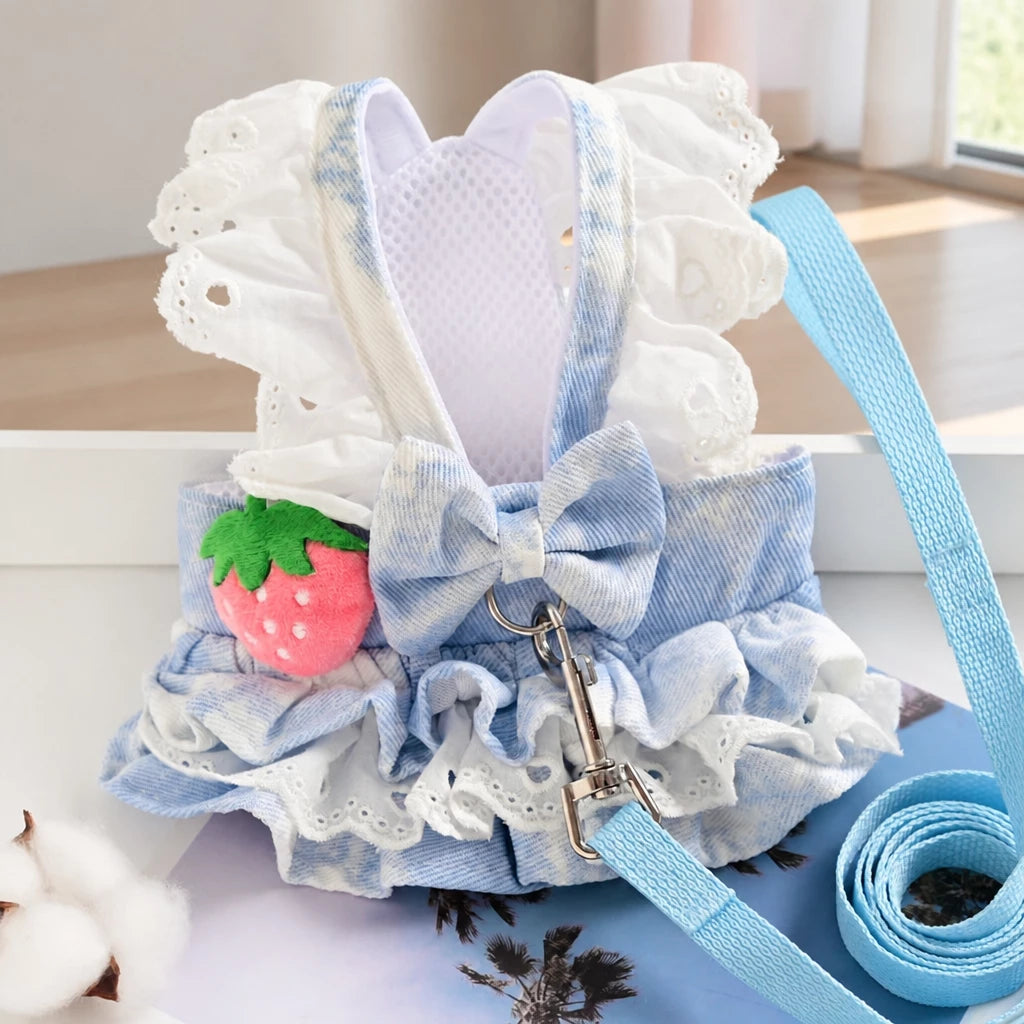 Pet Dog Dress with Matching Leash