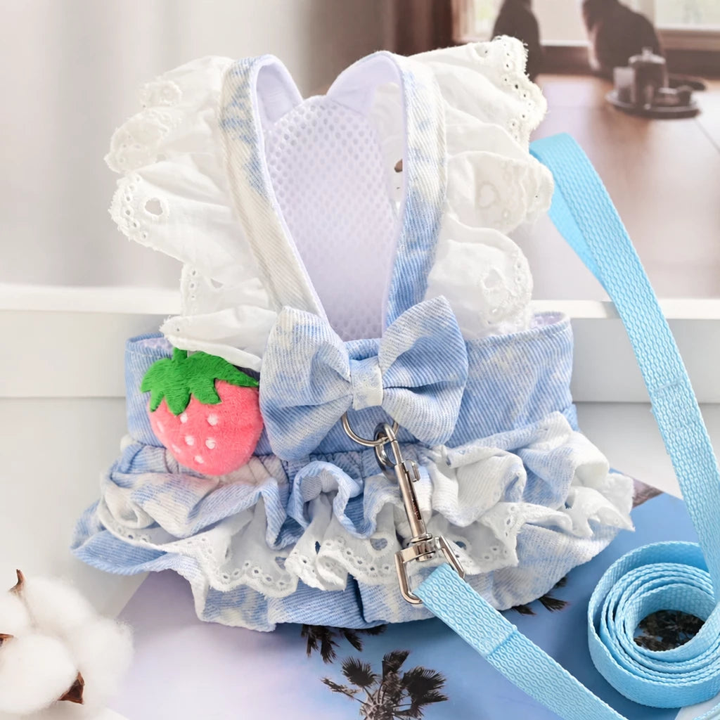 Pet Dog Dress with Matching Leash