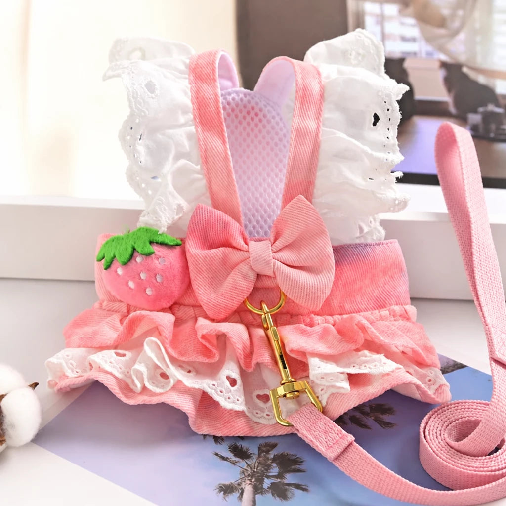 Pet Dog Dress with Matching Leash