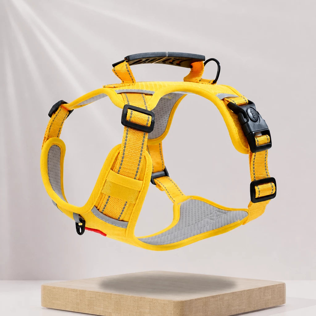 Dog Vest Harness and Leash for Everyday Walks