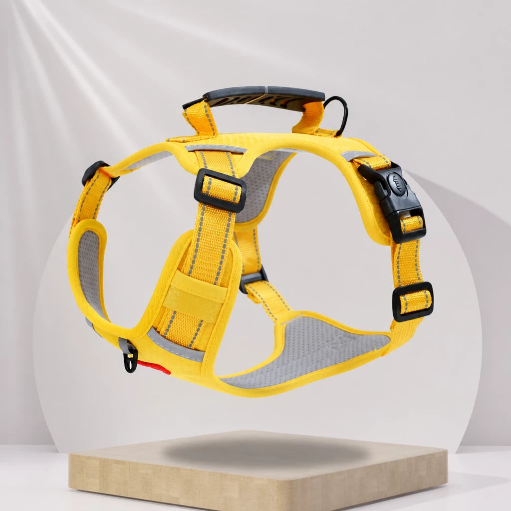Dog Vest Harness and Leash for Everyday Walks