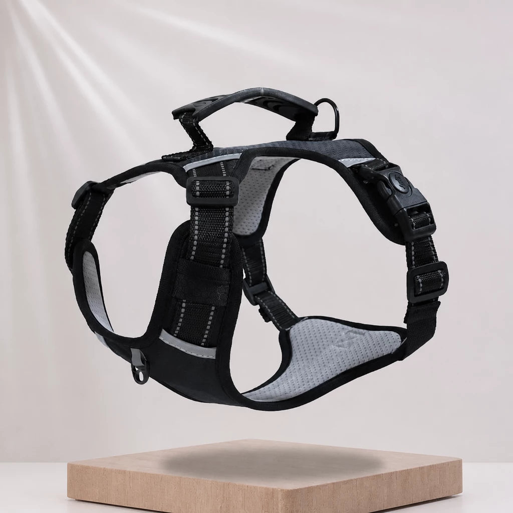 Dog Vest Harness and Leash for Everyday Walks