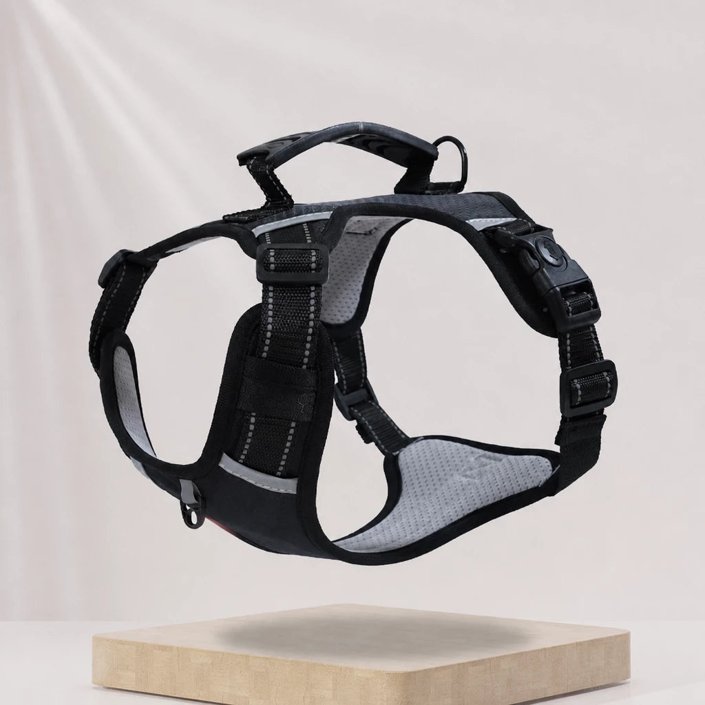 Dog Vest Harness and Leash for Everyday Walks