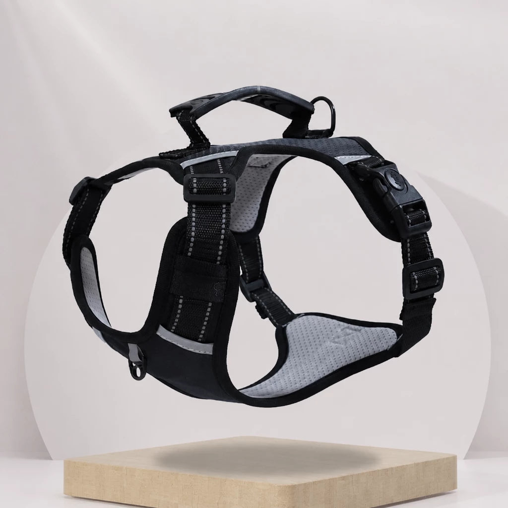 Dog Vest Harness and Leash for Everyday Walks