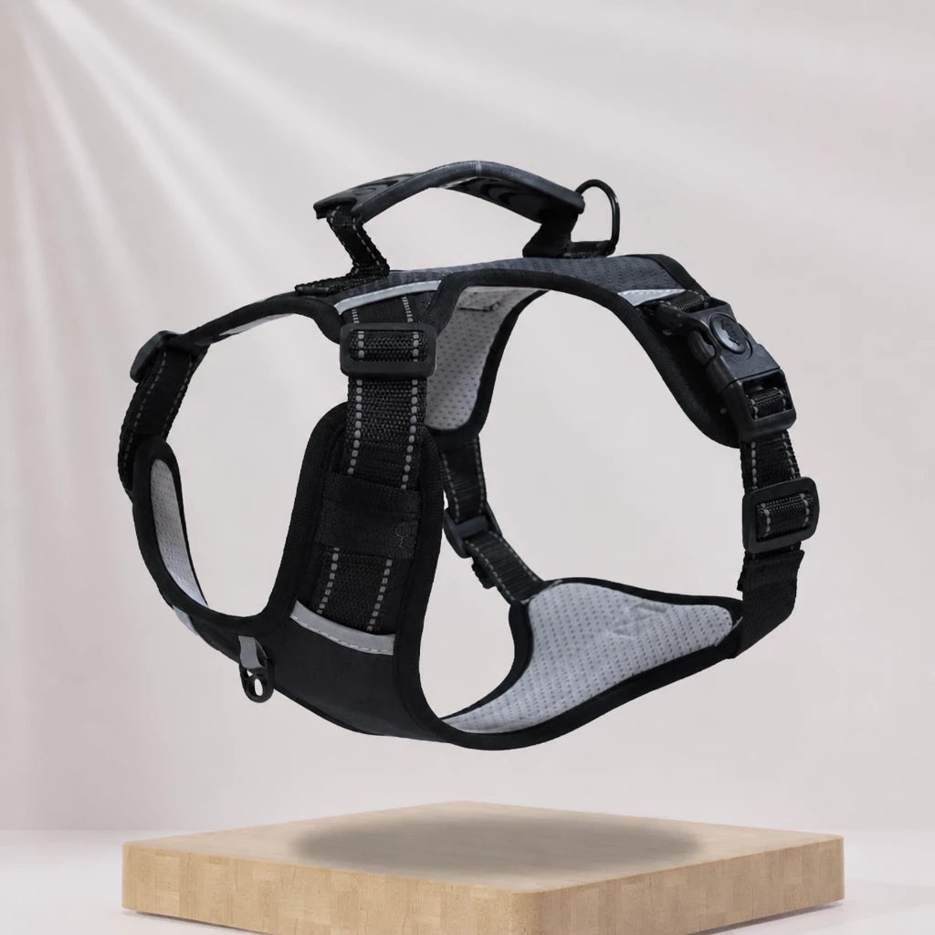 Dog Vest Harness and Leash for Everyday Walks