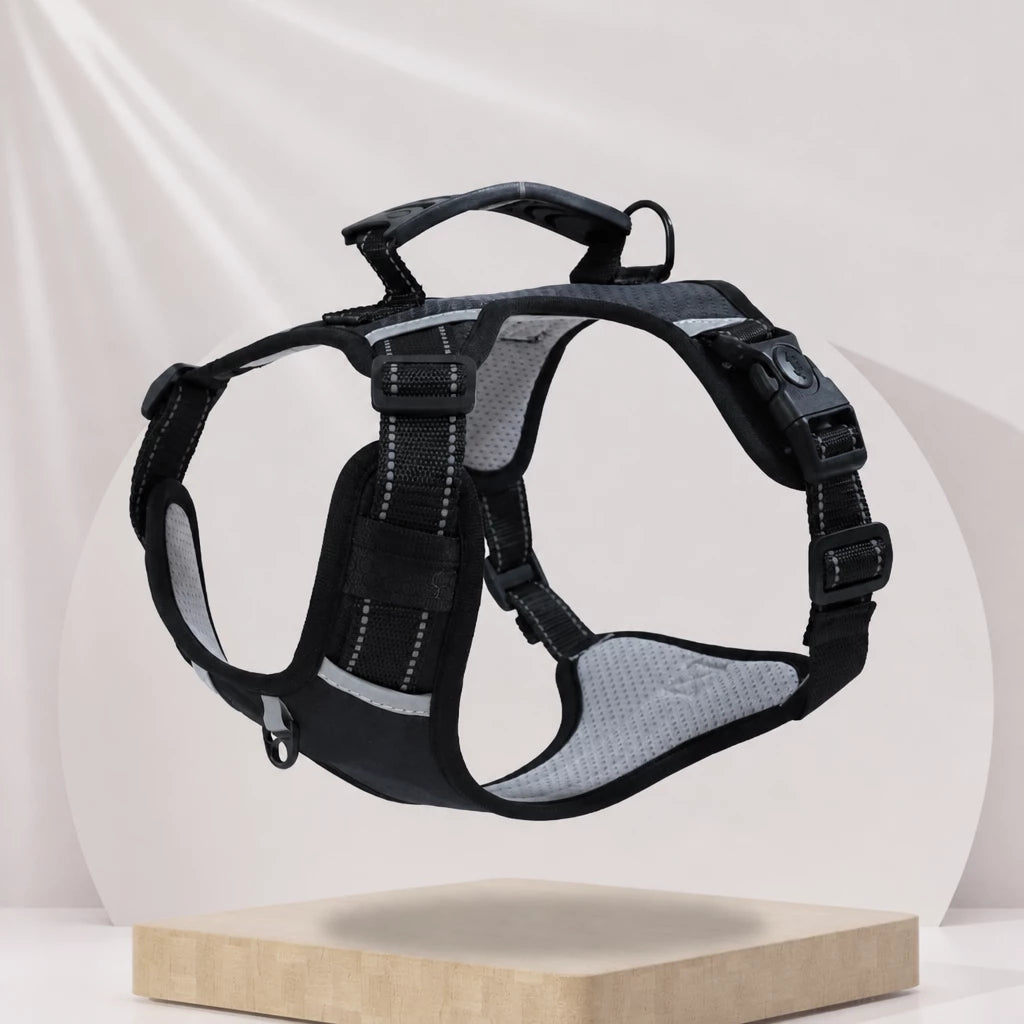 Dog Vest Harness and Leash for Everyday Walks