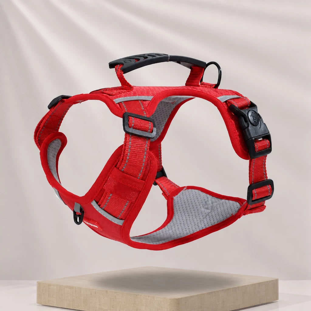 Dog Vest Harness and Leash for Everyday Walks