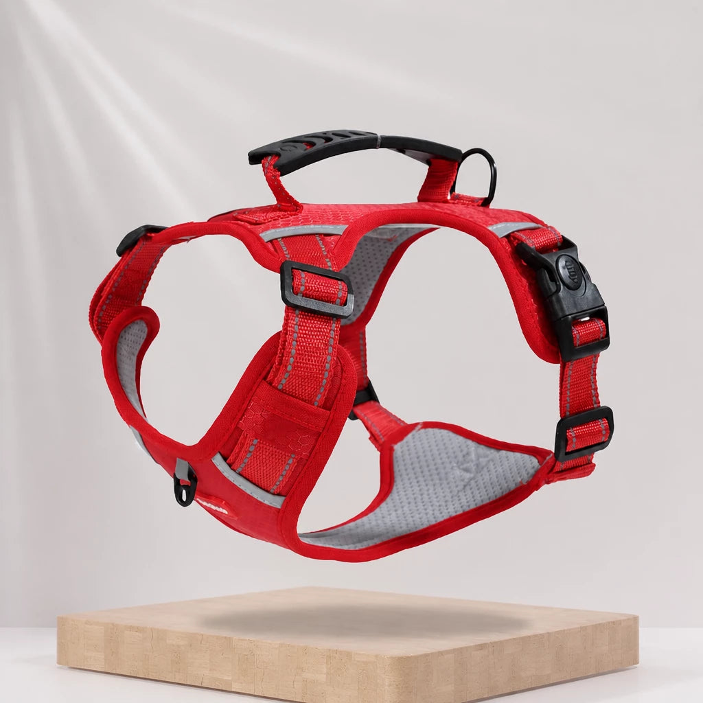 Dog Vest Harness and Leash for Everyday Walks