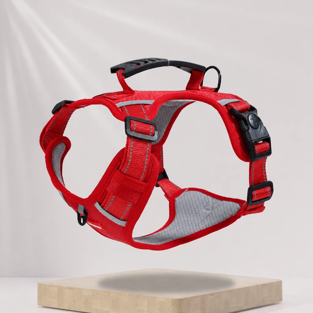 Dog Vest Harness and Leash for Everyday Walks
