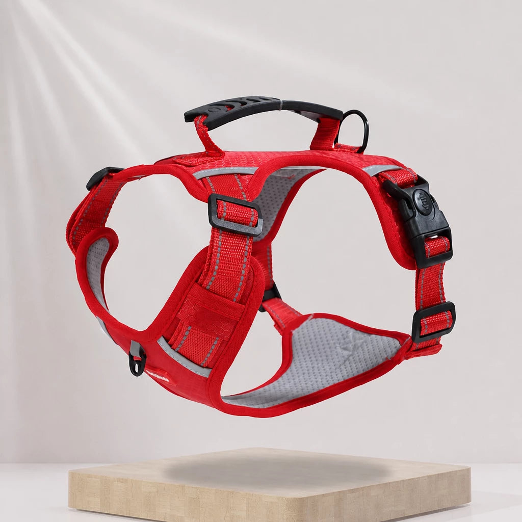 Dog Vest Harness and Leash for Everyday Walks