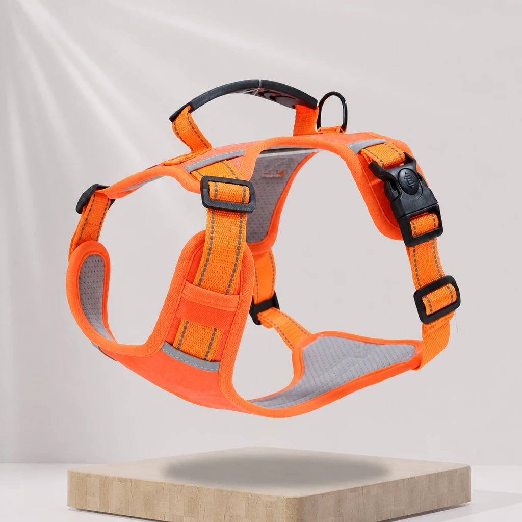 Dog Vest Harness and Leash for Everyday Walks