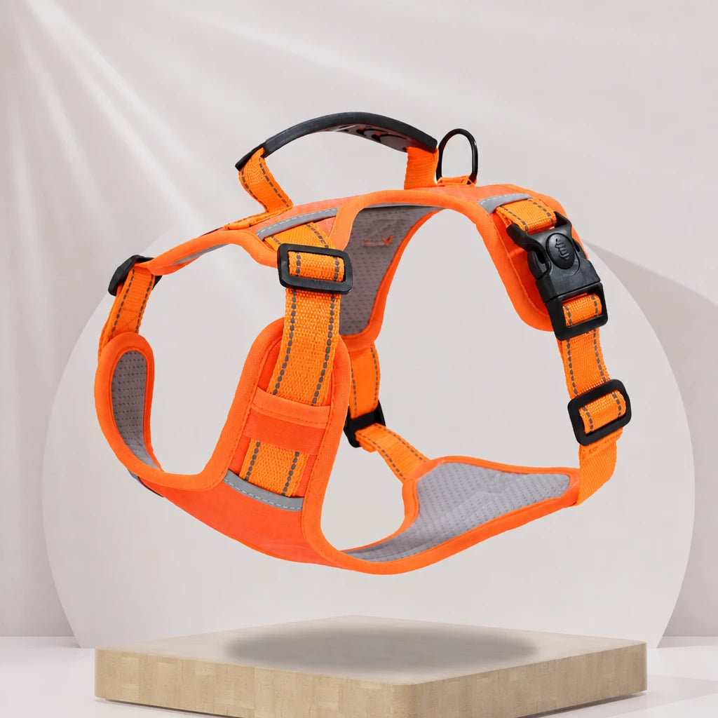 Dog Vest Harness and Leash for Everyday Walks