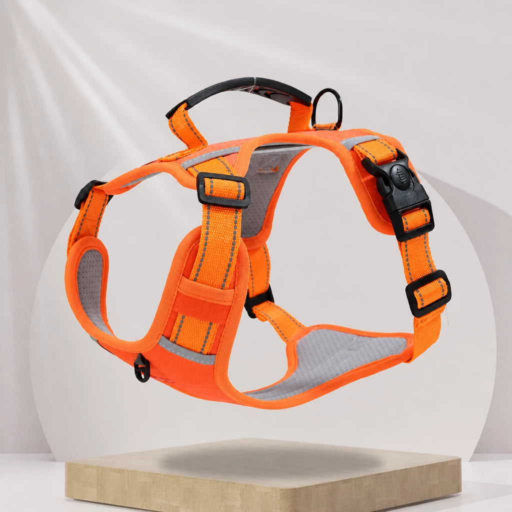 Dog Vest Harness and Leash for Everyday Walks