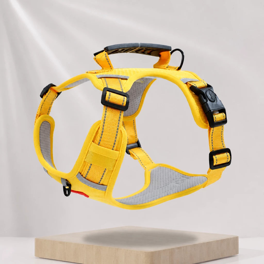 Dog Vest Harness and Leash for Everyday Walks