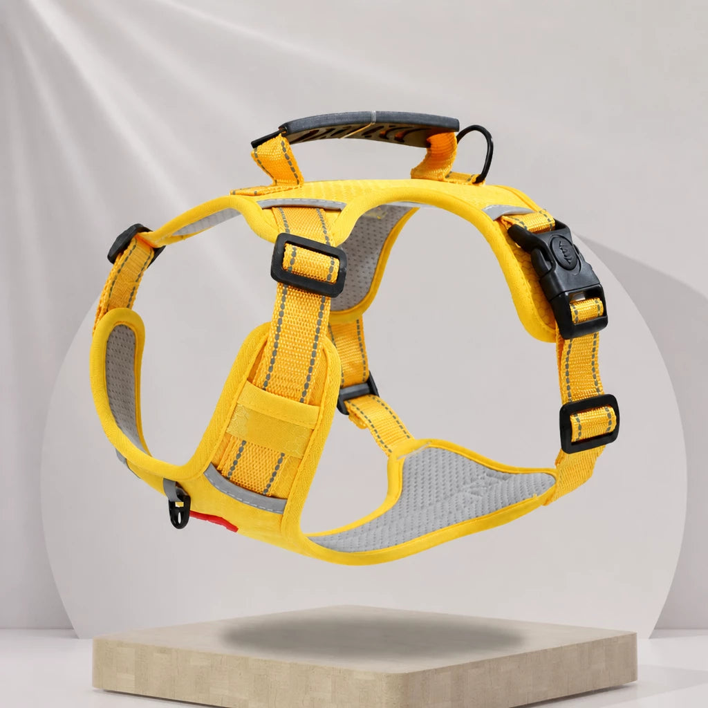 Dog Vest Harness and Leash for Everyday Walks