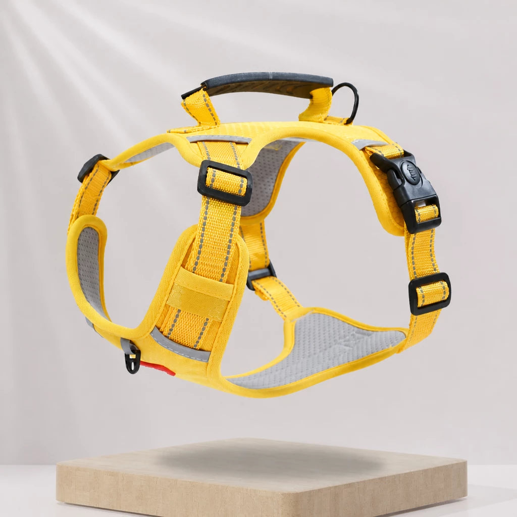Dog Vest Harness and Leash for Everyday Walks