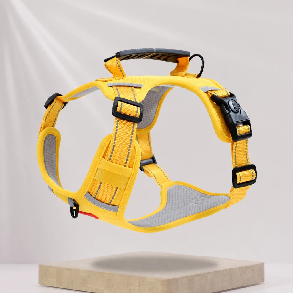 Dog Vest Harness and Leash for Everyday Walks