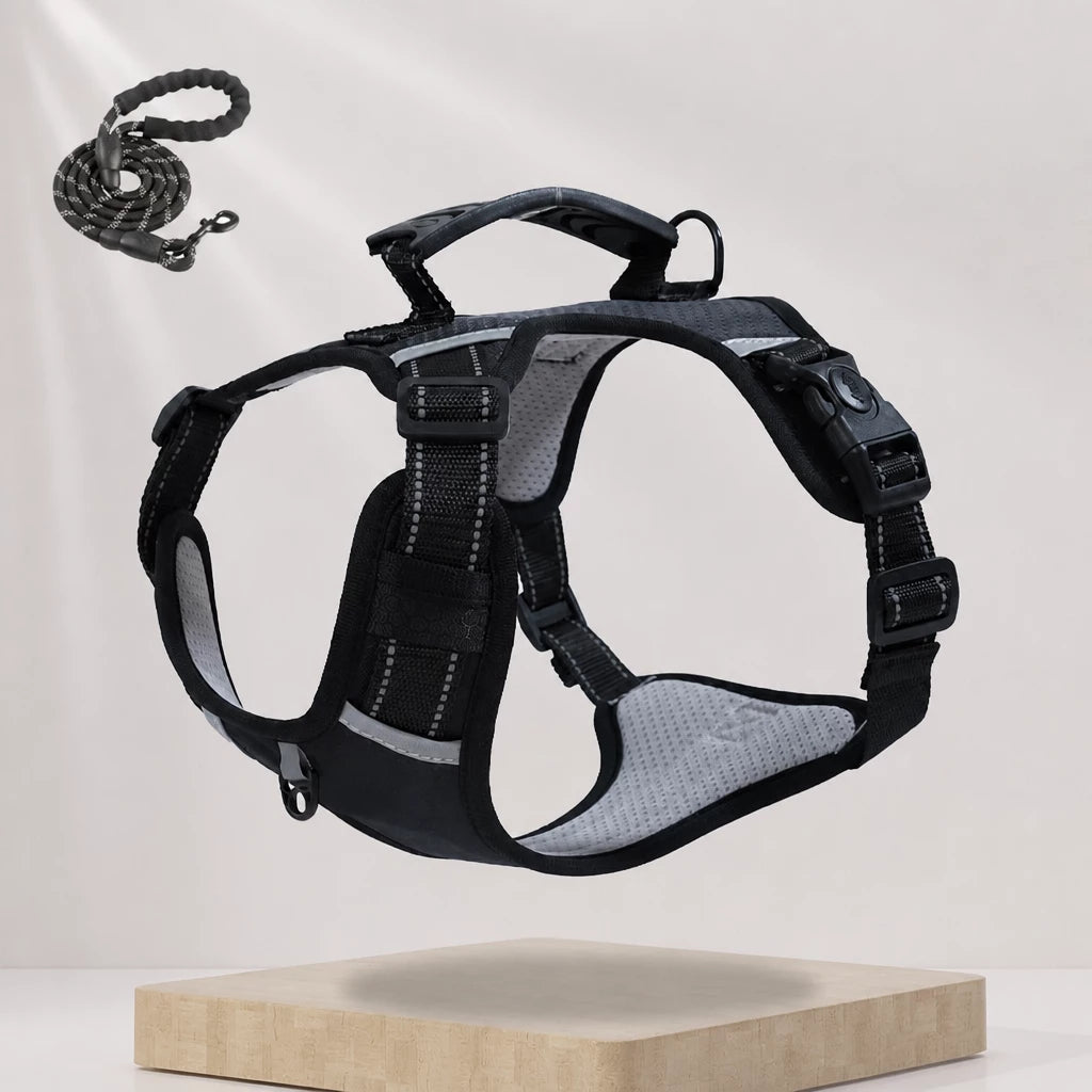 Dog Vest Harness and Leash for Everyday Walks