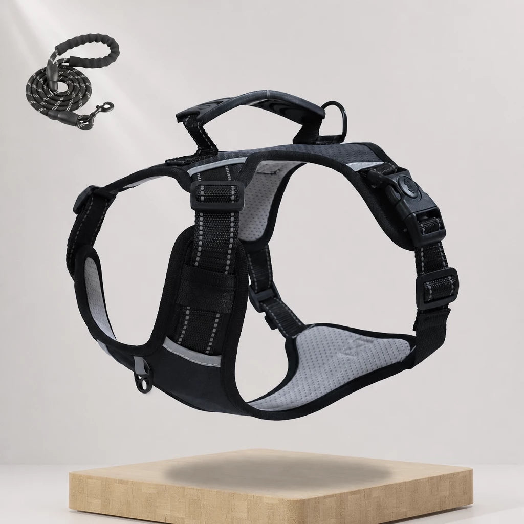 Dog Vest Harness and Leash for Everyday Walks