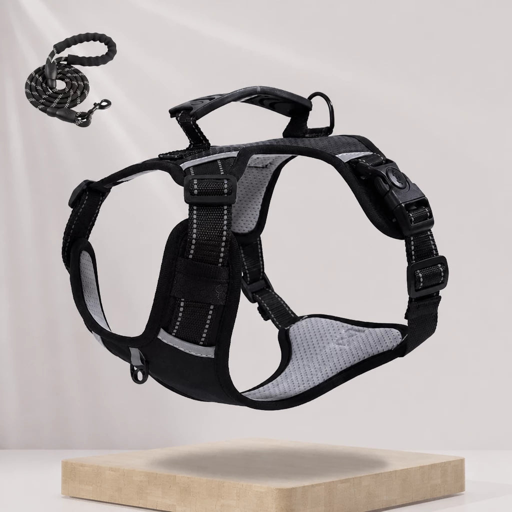 Dog Vest Harness and Leash for Everyday Walks