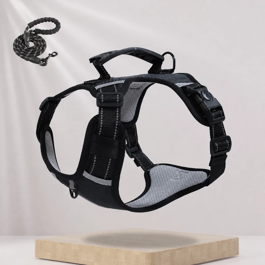 Dog Vest Harness and Leash for Everyday Walks