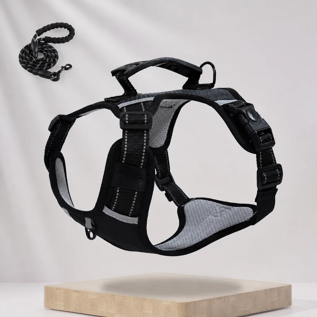 Dog Vest Harness and Leash for Everyday Walks