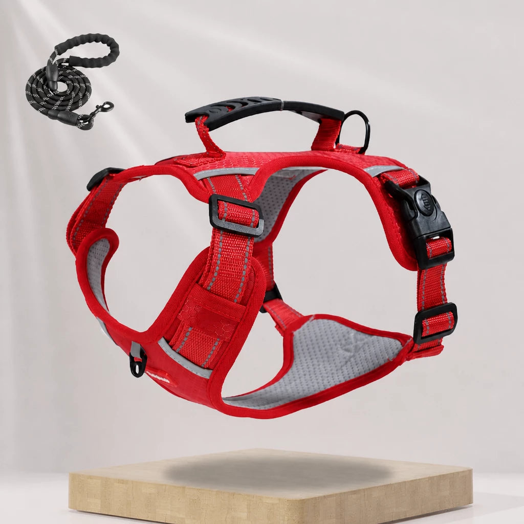 Dog Vest Harness and Leash for Everyday Walks