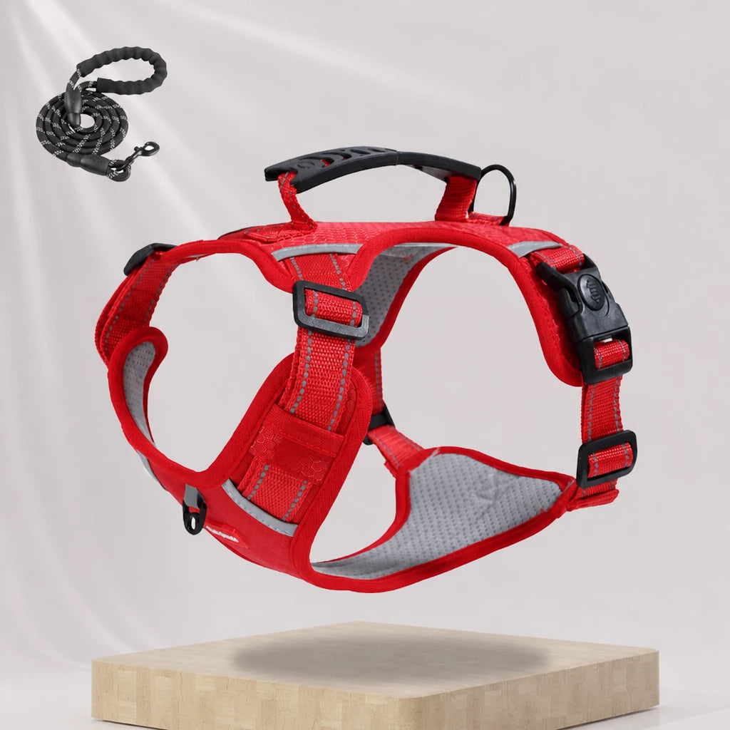 Dog Vest Harness and Leash for Everyday Walks