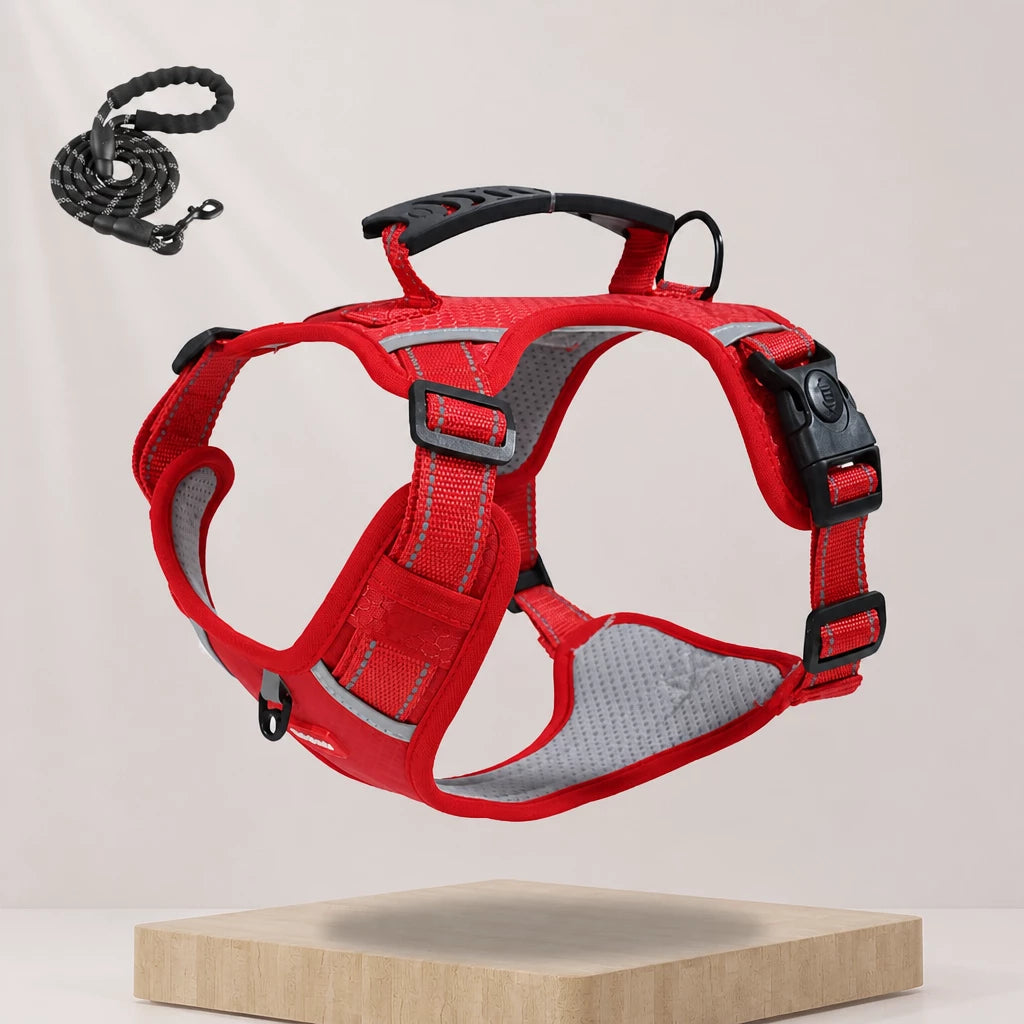 Dog Vest Harness and Leash for Everyday Walks