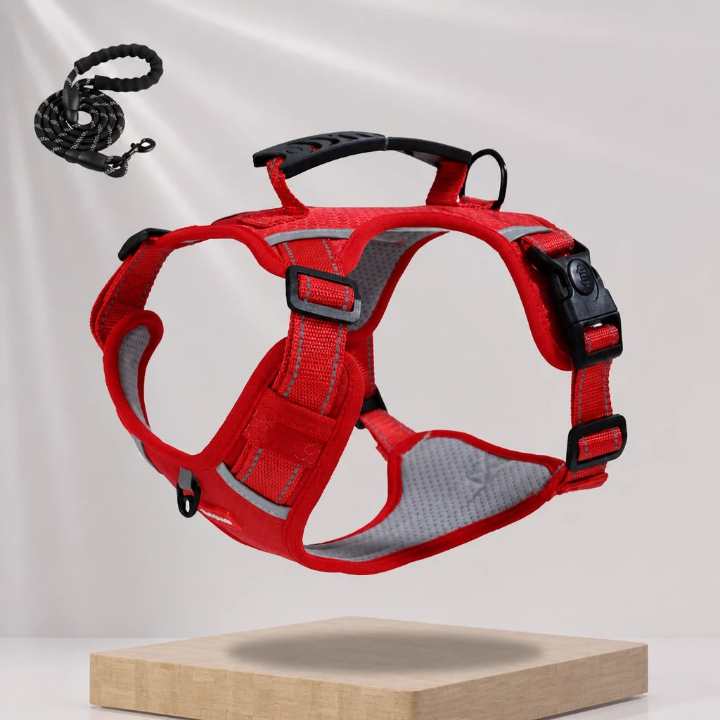 Dog Vest Harness and Leash for Everyday Walks