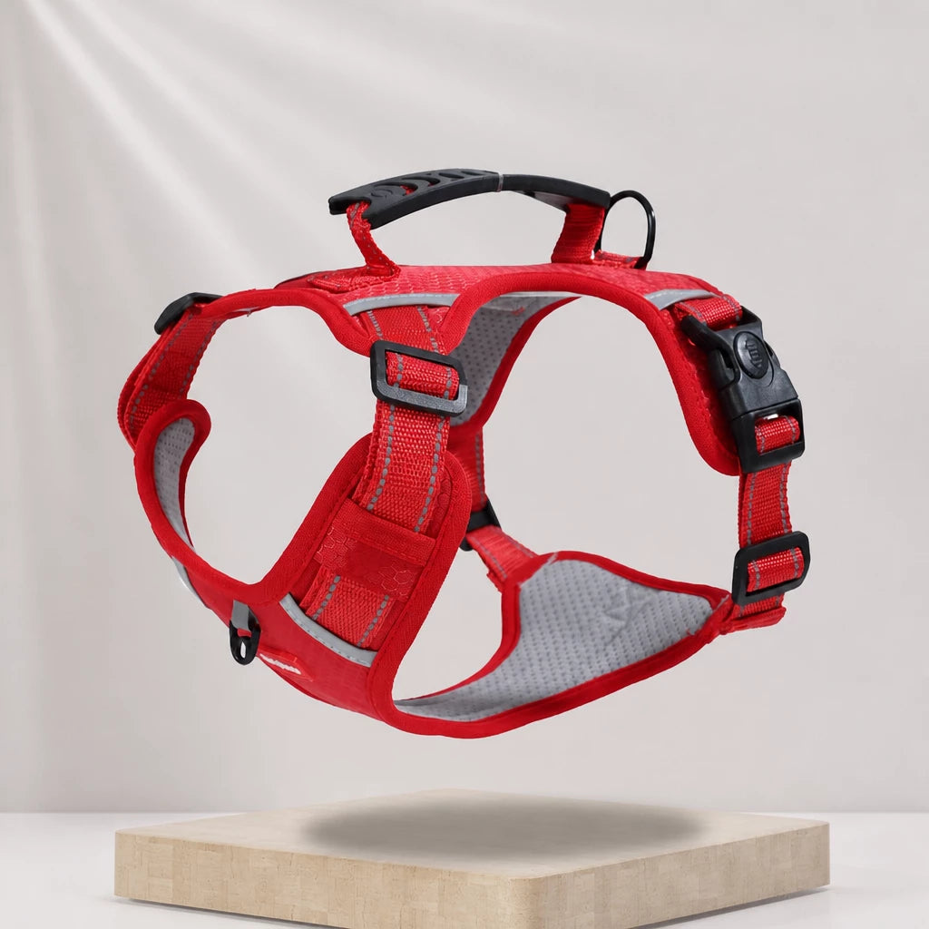 Dog Vest Harness and Leash for Everyday Walks