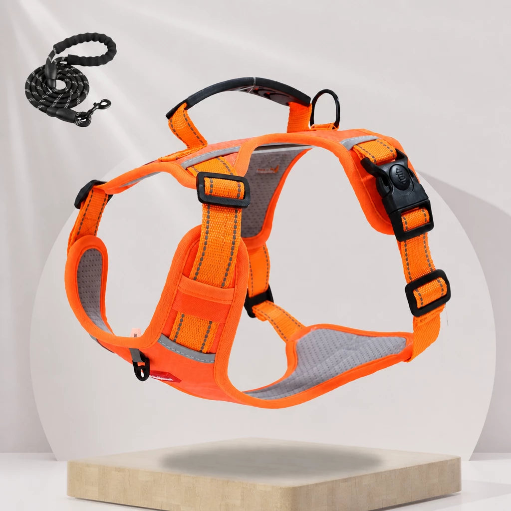 Dog Vest Harness and Leash for Everyday Walks