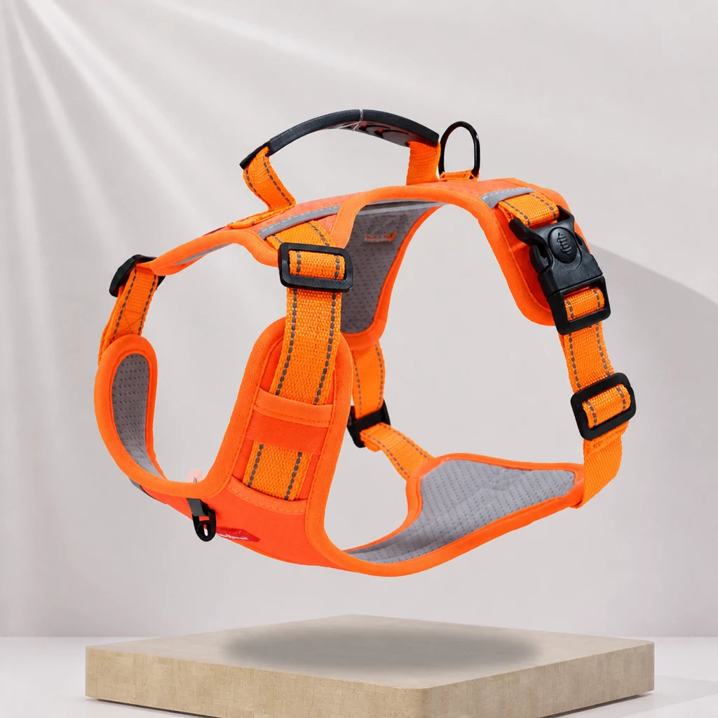 Dog Vest Harness and Leash for Everyday Walks