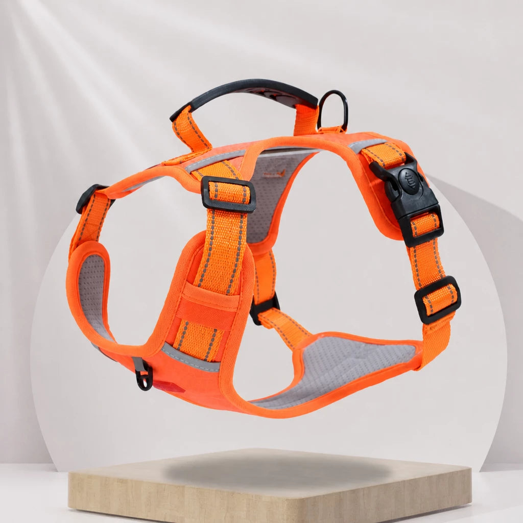 Dog Vest Harness and Leash for Everyday Walks