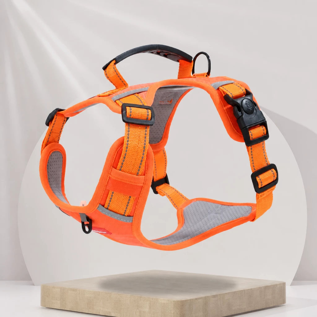 Dog Vest Harness and Leash for Everyday Walks