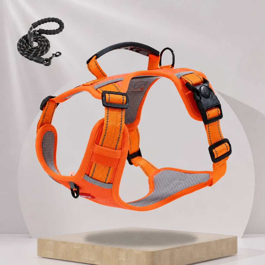 Dog Vest Harness and Leash for Everyday Walks