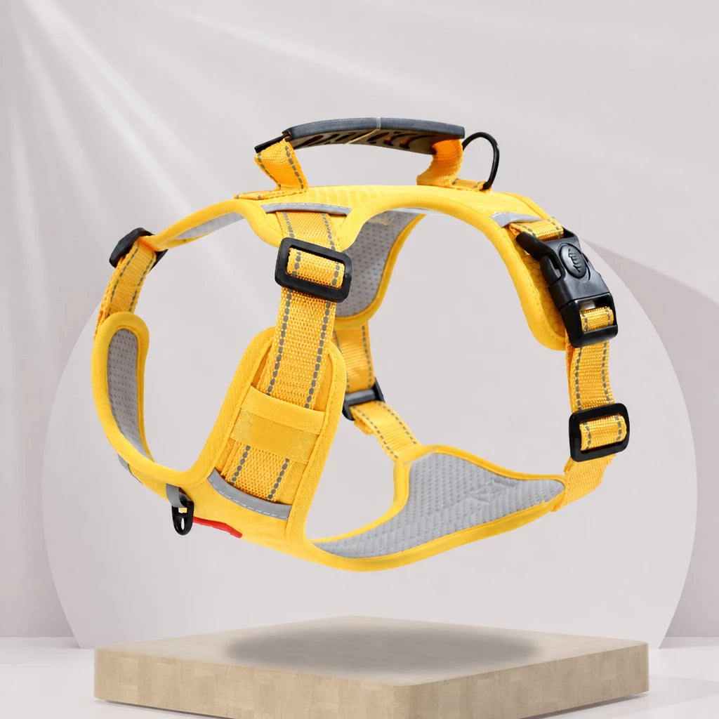 Dog Vest Harness and Leash for Everyday Walks