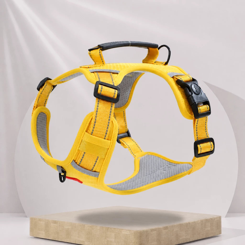 Dog Vest Harness and Leash for Everyday Walks
