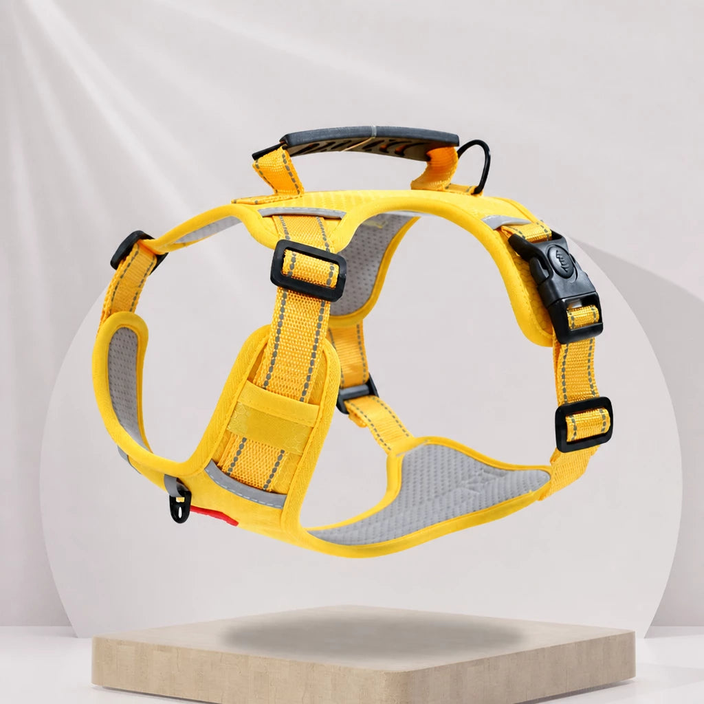Dog Vest Harness and Leash for Everyday Walks