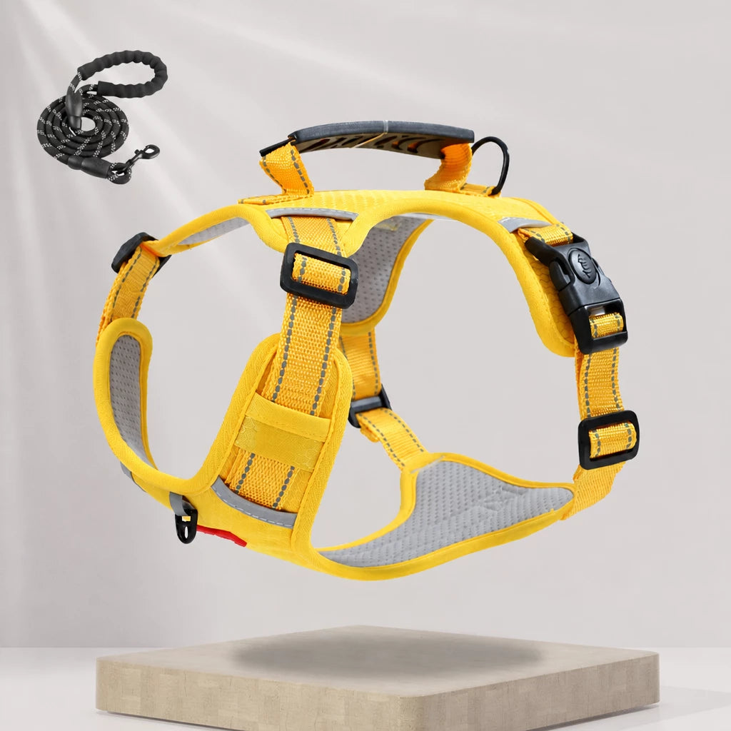 Dog Vest Harness and Leash for Everyday Walks