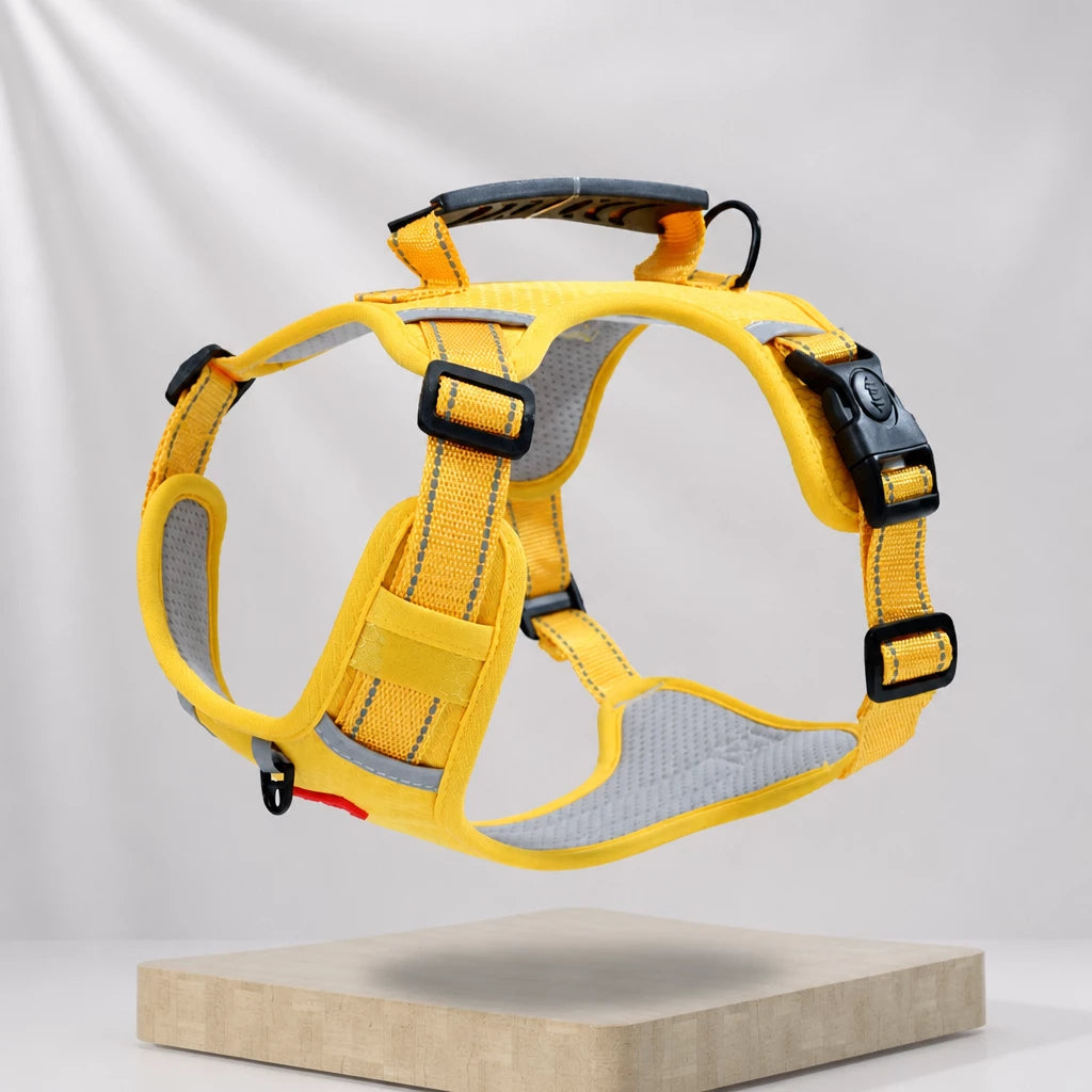 Dog Vest Harness and Leash for Everyday Walks