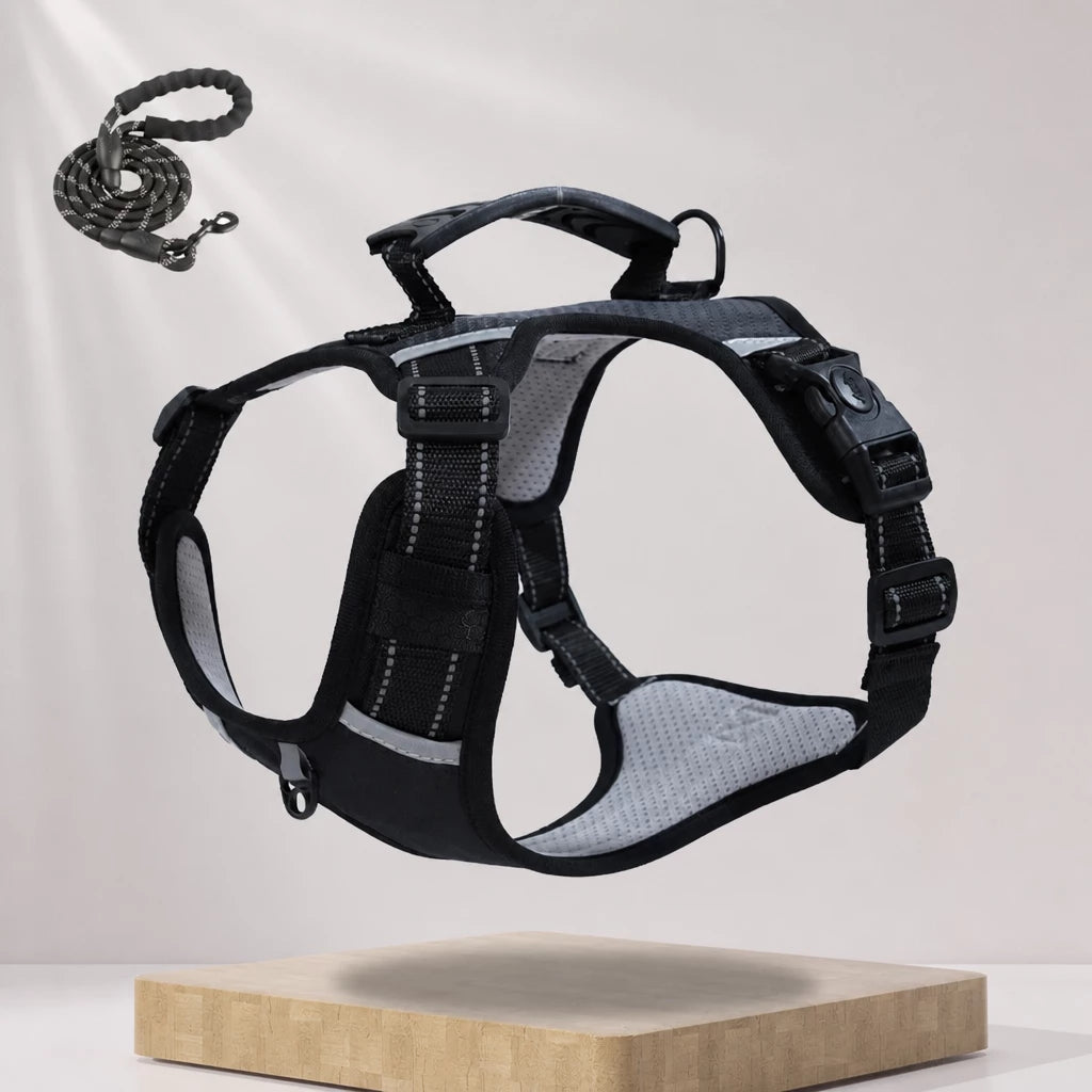 Dog Vest Harness and Leash for Everyday Walks