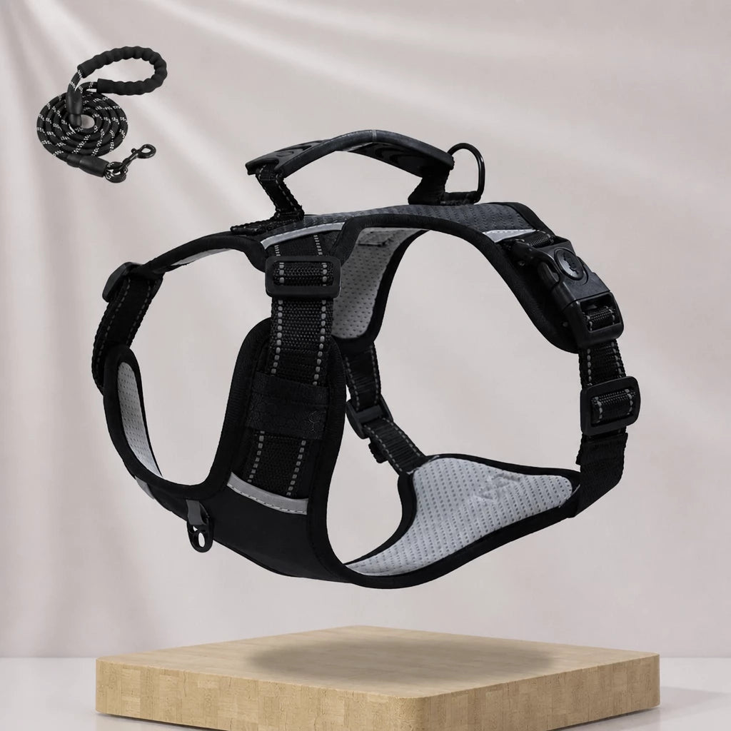 Dog Vest Harness and Leash for Everyday Walks