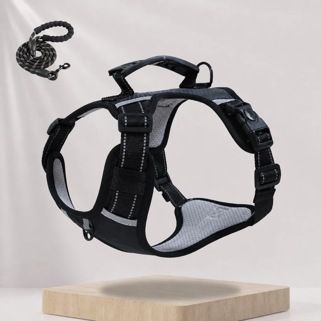 Dog Vest Harness and Leash for Everyday Walks