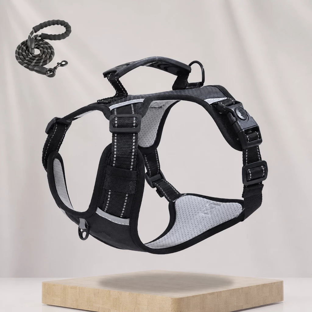 Dog Vest Harness and Leash for Everyday Walks