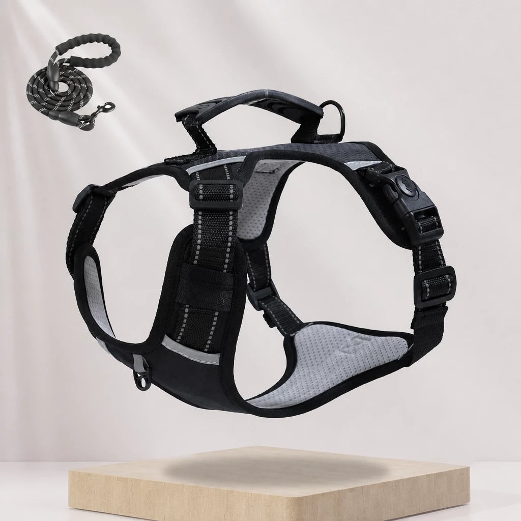 Dog Vest Harness and Leash for Everyday Walks